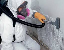 Why You Should Choose Our Mold Remediation Services in Neosho, MO